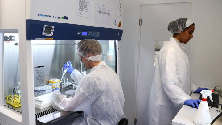 ¡2020! La década de las pandemias: virus G4 nueva cepa de H1N1.