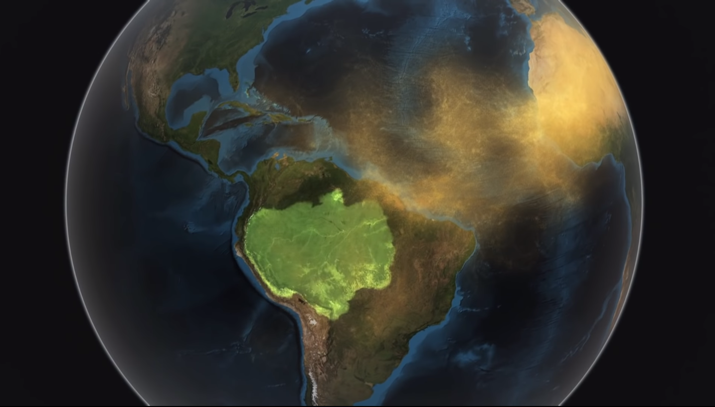 Arenas del Sahara son útiles para fertilizar las selvas de América del Sur.