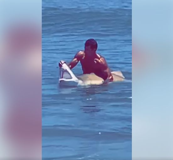 ¿Está loco? Increíble: hombre libera a un tiburón del anzuelo.