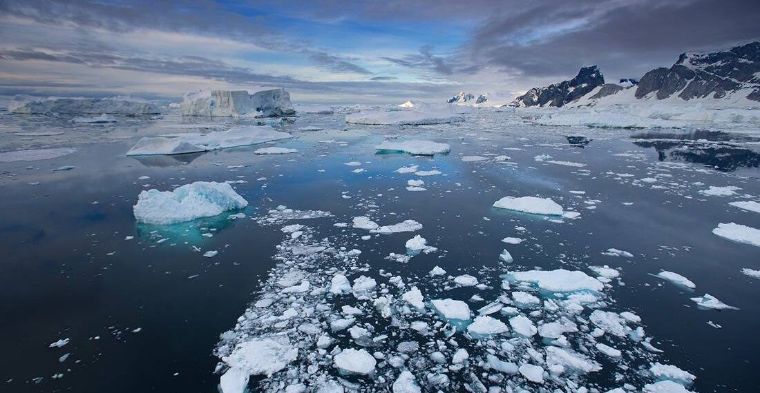 Gran descubrimiento en el Polo Sur impacta a la comunidad científica