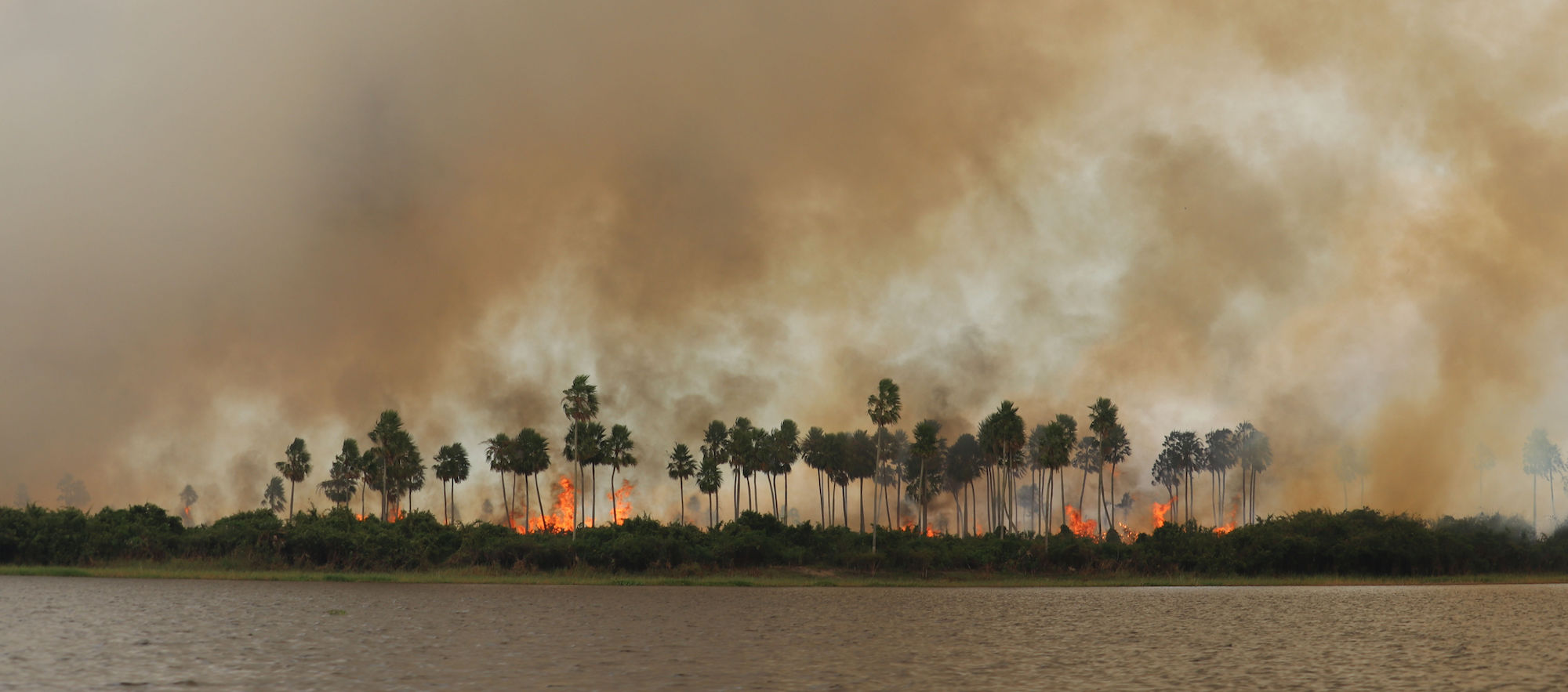 Incendios en Brasil amenazan con desaparecer el mayor humedal del mundo.