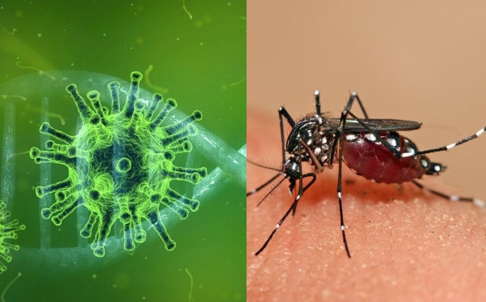 Alerta en México por sindemia: conjunción entre C-19, dengue e influenza.