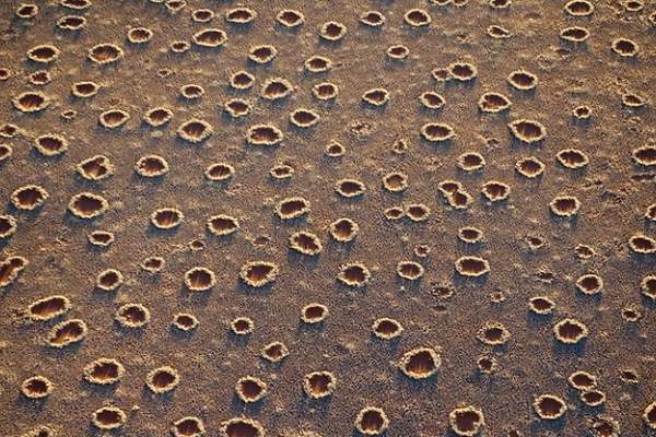 Los misteriosos «círculos de hadas» de los desiertos. ¿Por qué se forman?