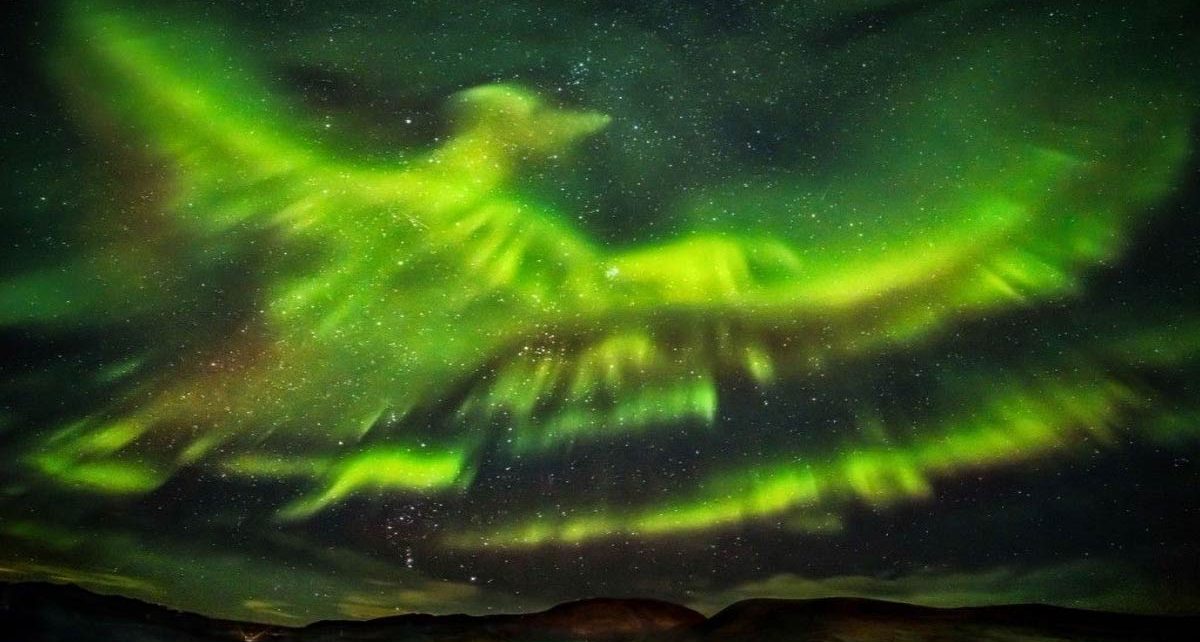 Aurora boreal dibuja imagen de ave Fénix en el cielo.