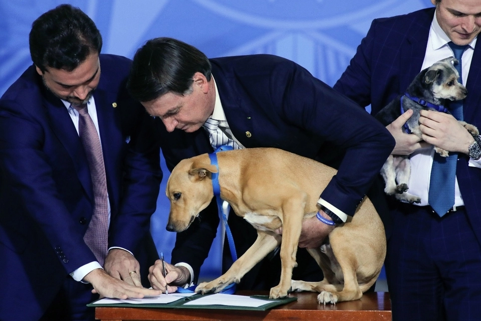 Presidente de Brasil promulgó ley contra el maltrato animal y firma con su mascota