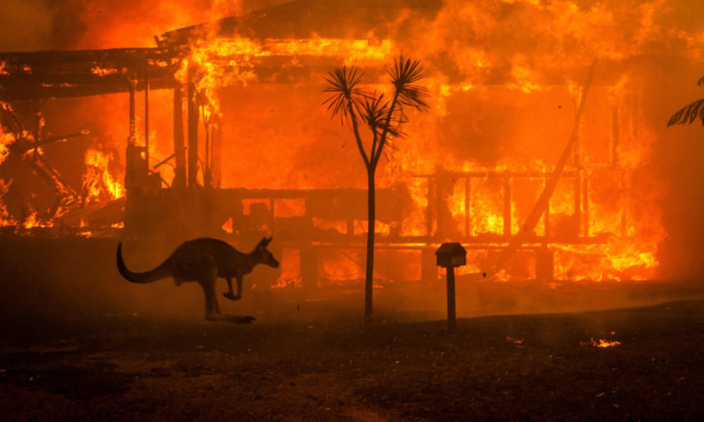 Incendios forestales arrasaron Australia por cambio climático.