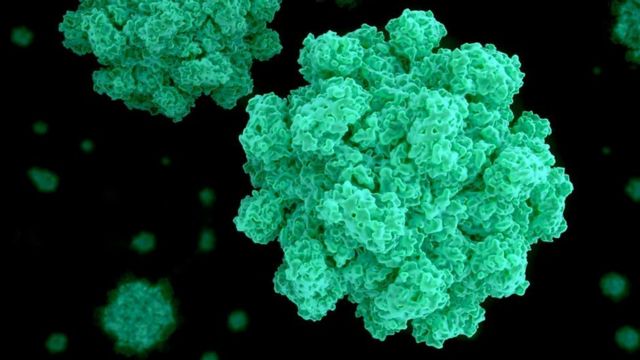 Brote de norovirus en China pone en alerta a la comunidad científica.