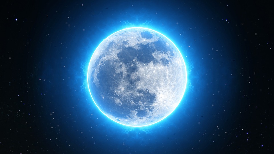 Arca lunar:  ADN de millones de especies en la Luna…por si acaso.