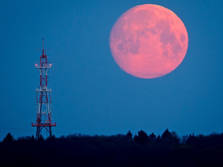 Luna Rosa: esta luna llena iluminará Norteamérica el lunes.