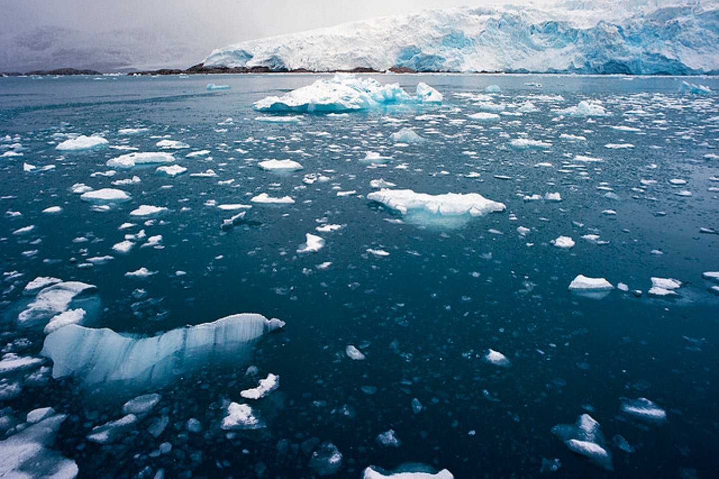 Atlantificación: el calor del Atlántico está afectando al hielo del Ártico.
