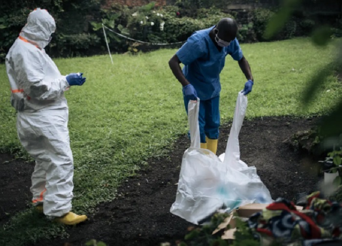 Peste bubónica: 11 fallecen en el Congo después de vomitar sangre.