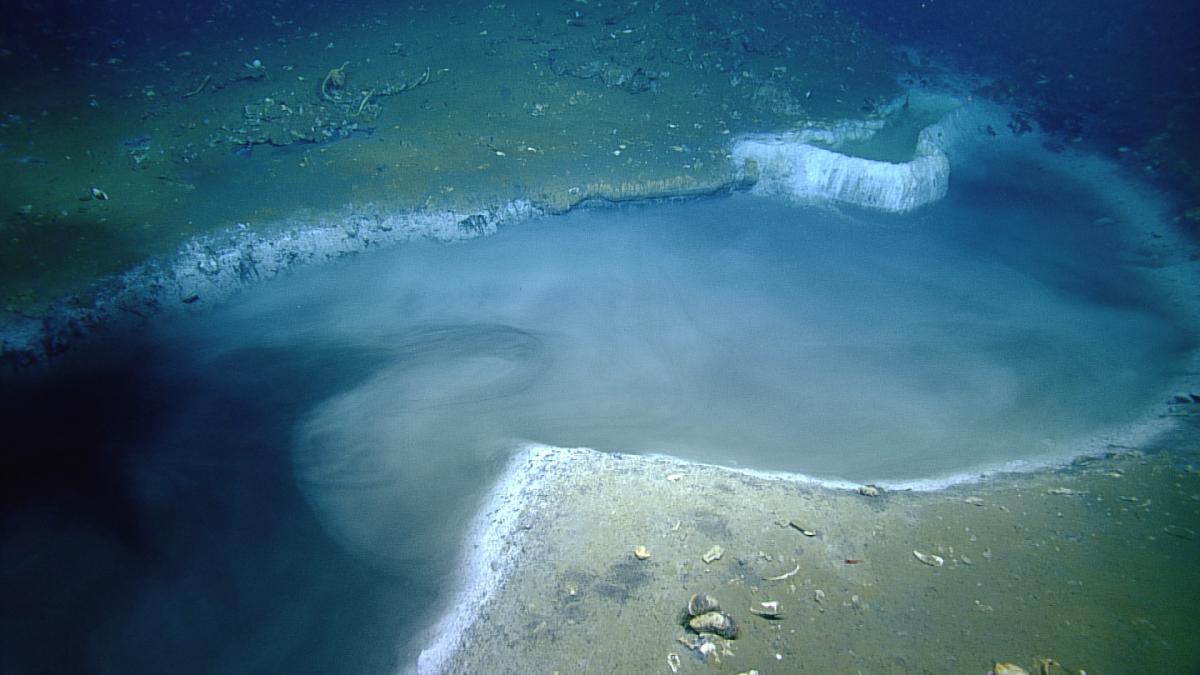 Encuentran extraños lagos de salmuera en el Mar Rojo.