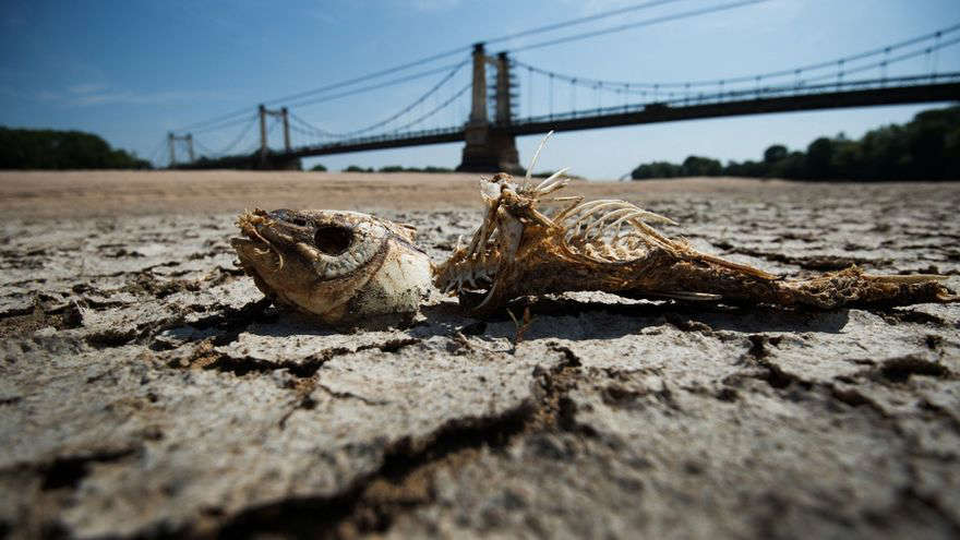 ¡Alerta! Río Loira y otros caudales de Europa están gravemente secos