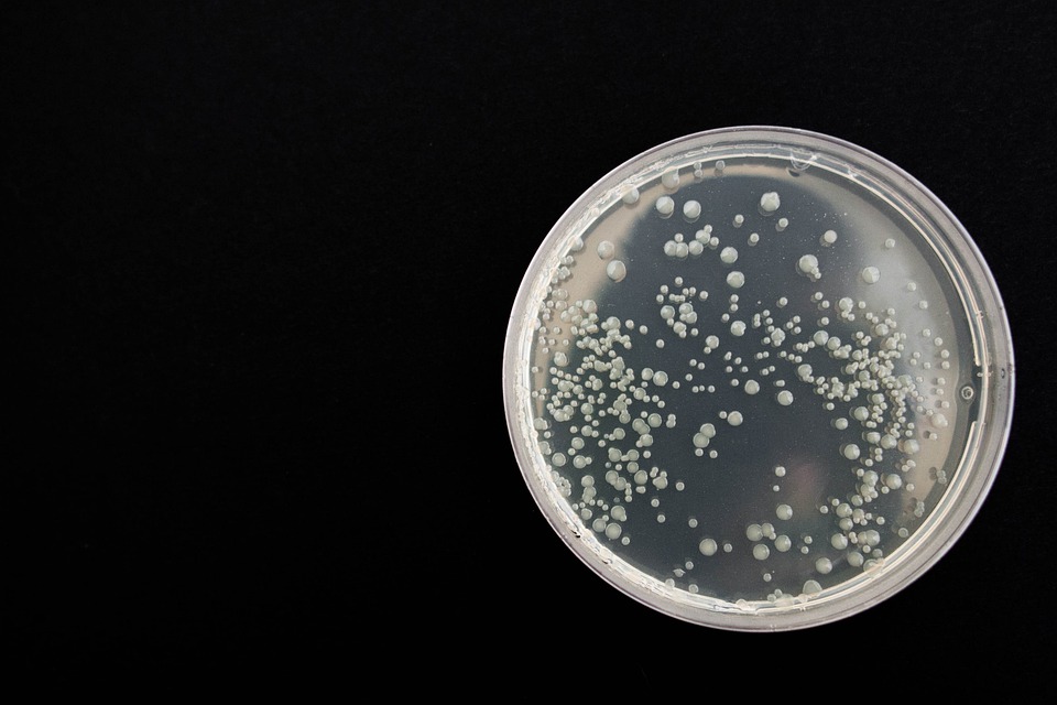 Molécula que puede combatir más de 300 bacterias resistentes.