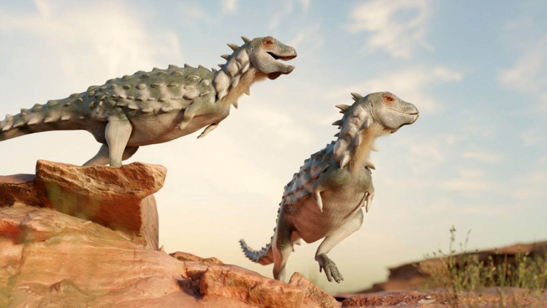 Jakapil kaniukura: nuevo dinosaurio acorazado es descubierto.
