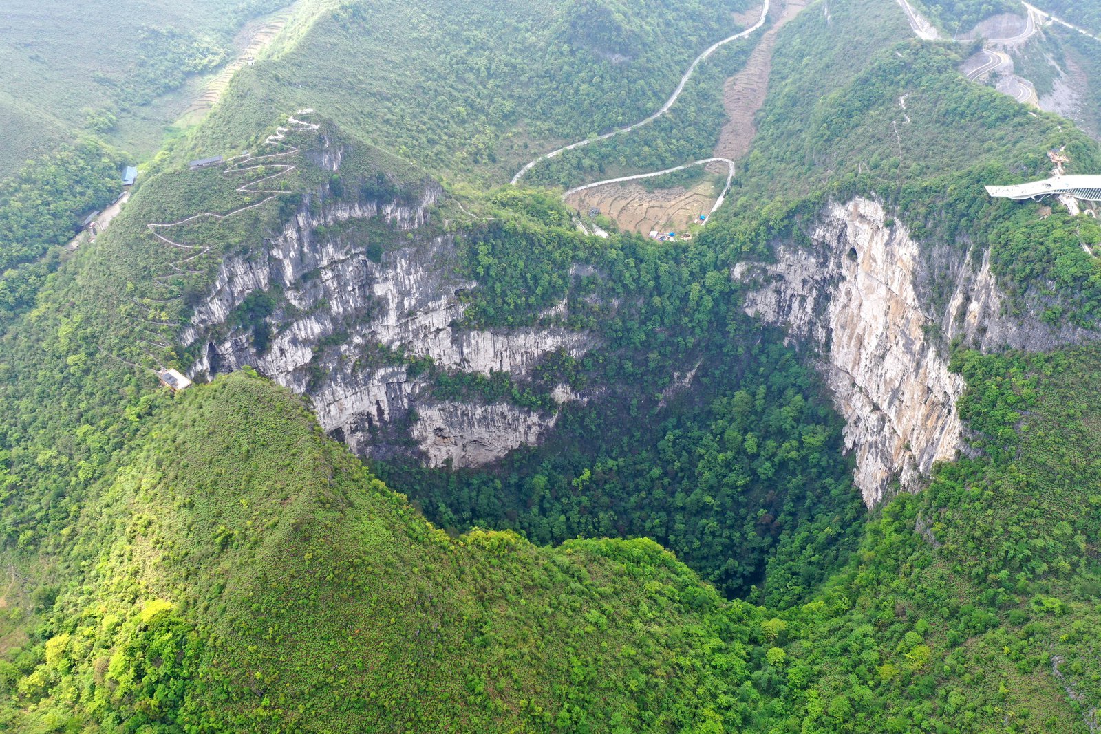 ewrwe China: hallan bosque único dentro de un sumidero gigantesco.
