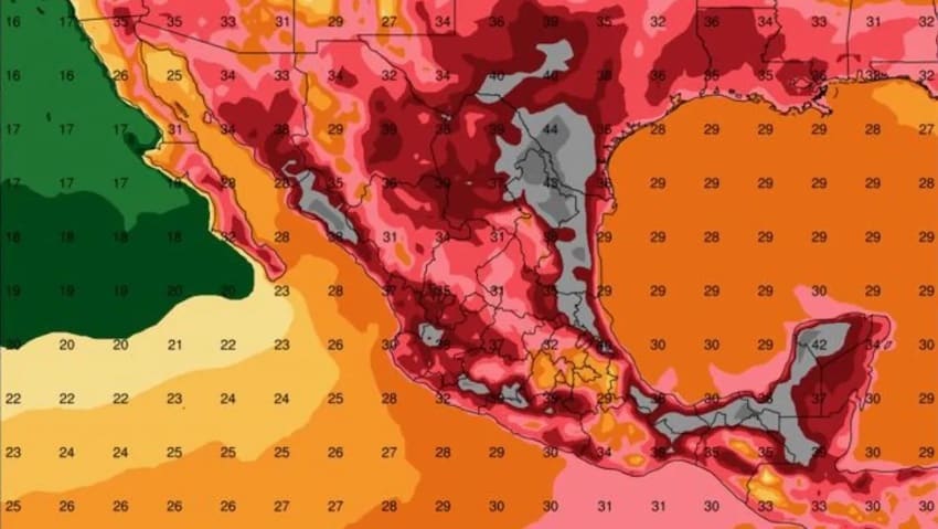 Canícula 2023: estos serán los estados con más calor en México